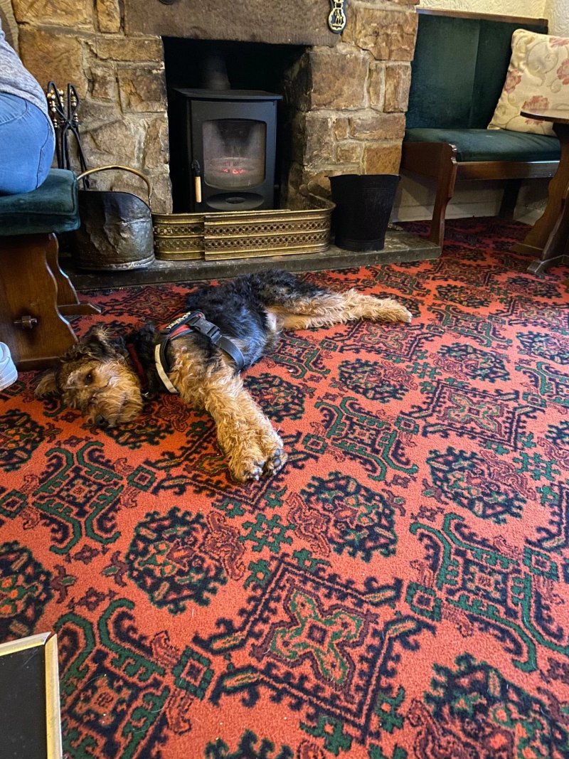 The Black Horse Inn