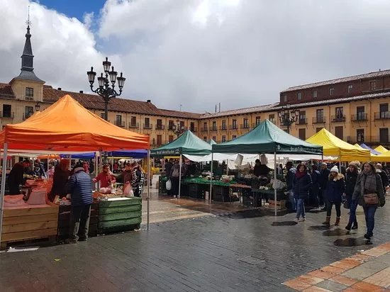 Mercadillo De Frutas Y Alimentos