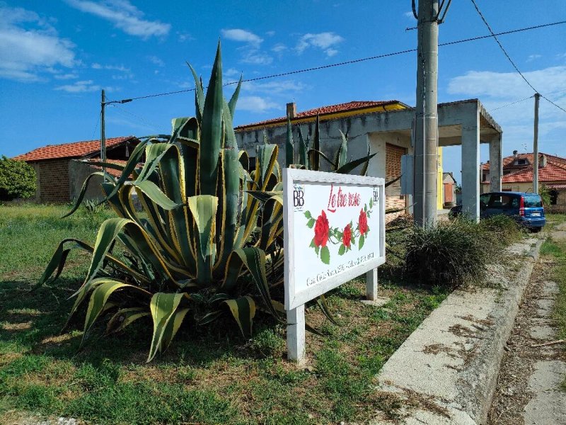 B&B Le Tre Rose