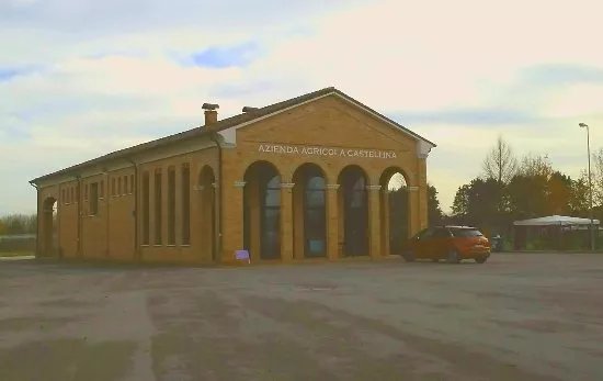 Azienda Agricola La Castellina