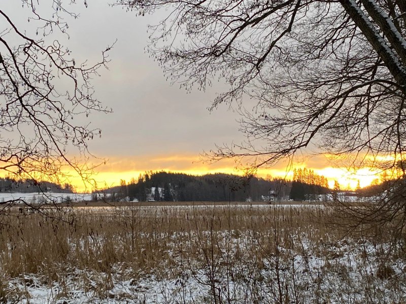 Kisakallion Urheiluopisto