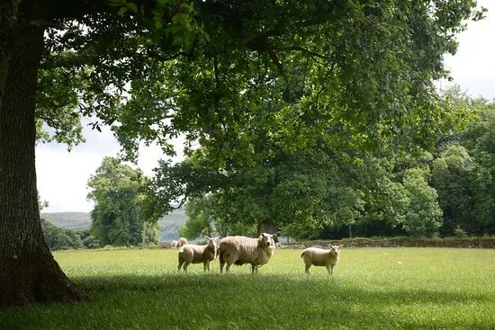 Old Leckie Farm