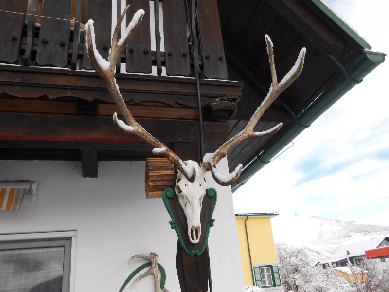 Pension Gierlinger