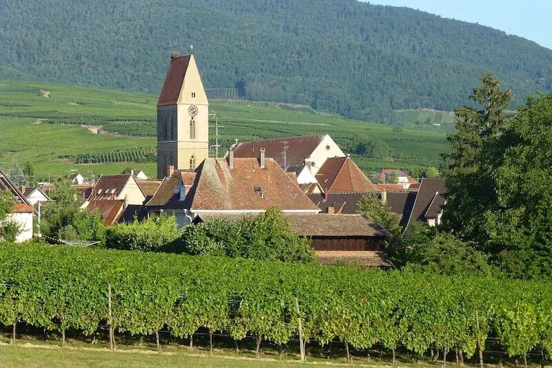 3-room apartment for 2/5 people on the edge of a vineyard