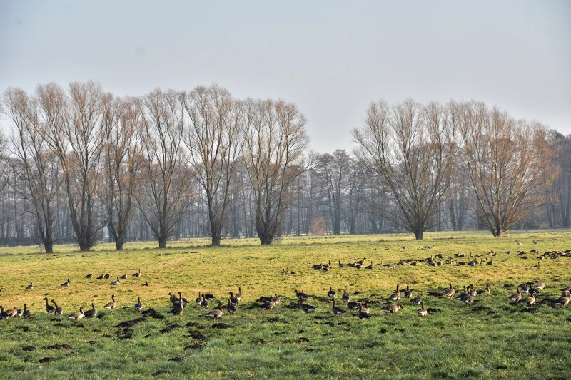 Naturlehrpfad Netzen