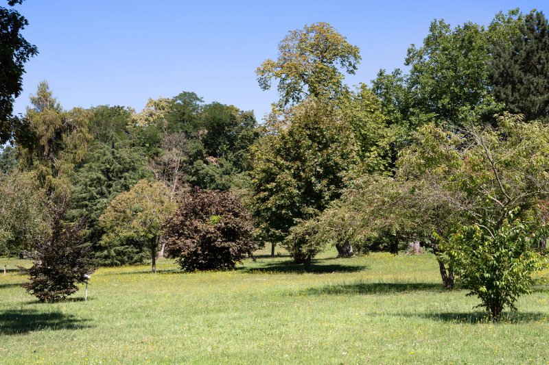 Parc Maurice Froment
