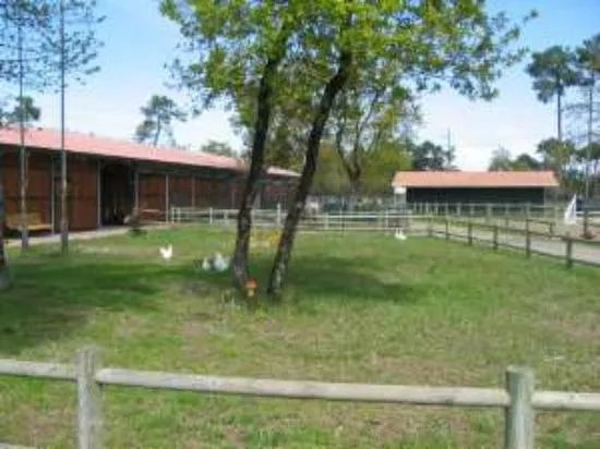 Les Petits Chevaux