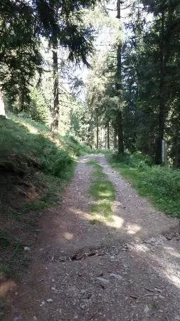 Partenza per il Sentiero del Bosco Incantato