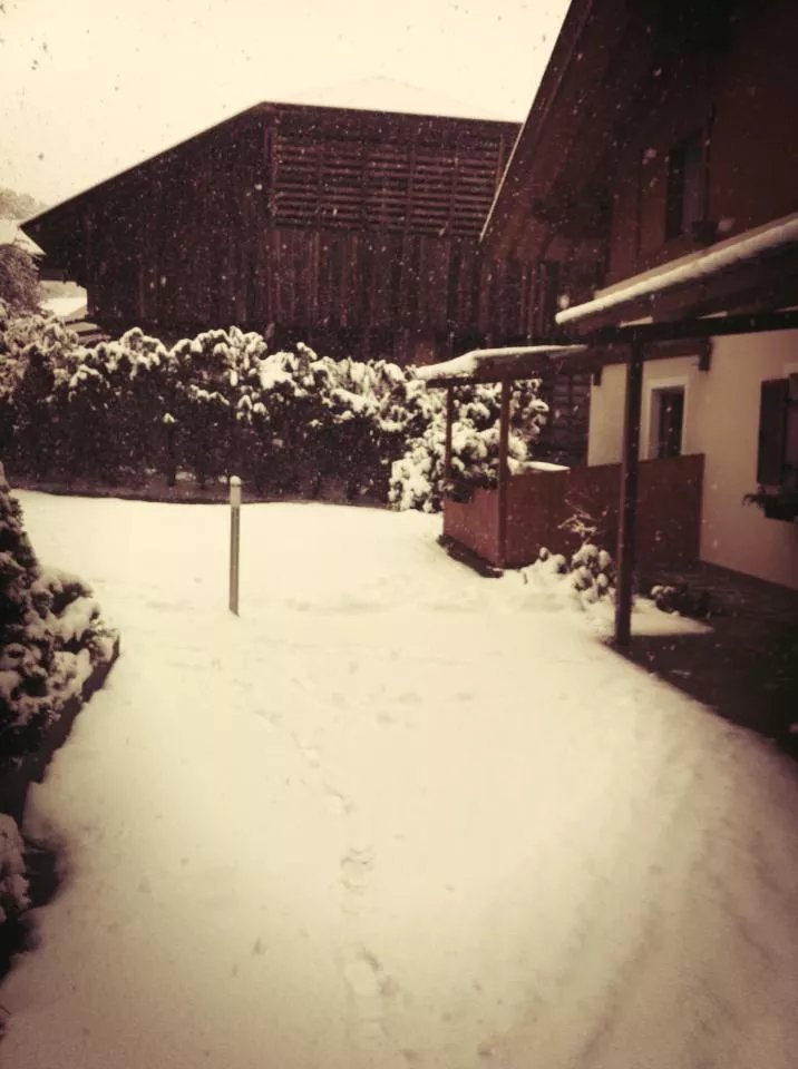 Malfertheinerhof