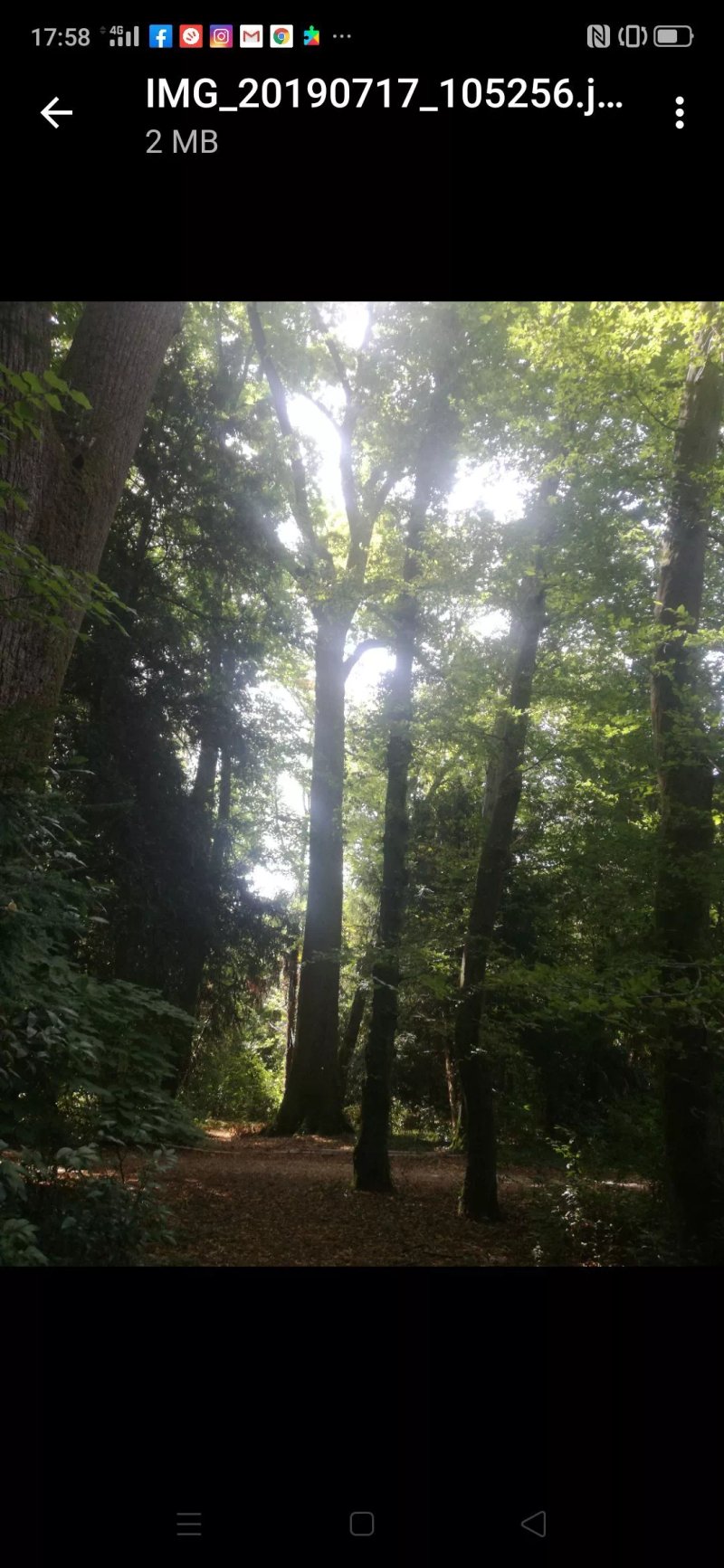 Parco di Villa Chiozza