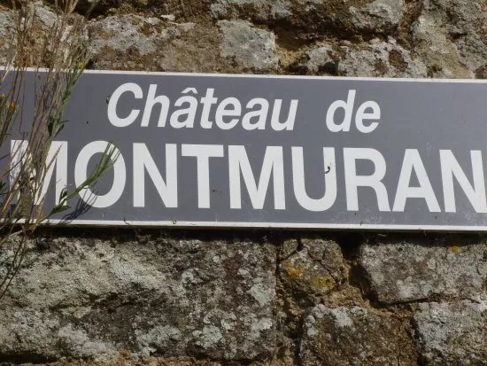 Chateau de Montmuran