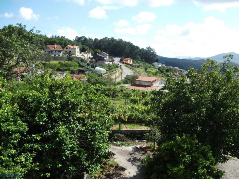 Hostal Nuevo Alonso