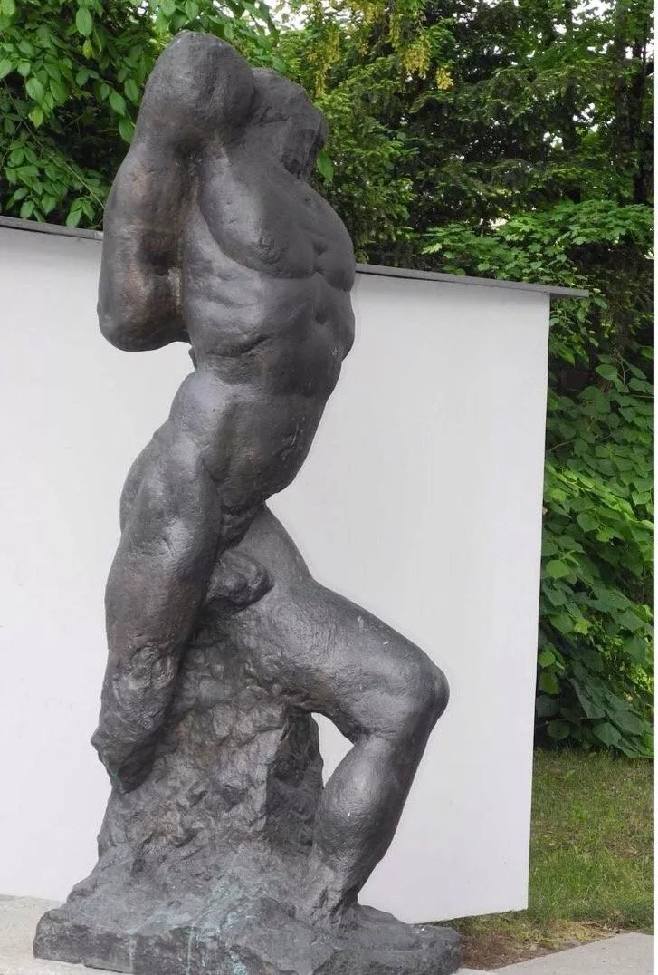 Mannlicher Torso