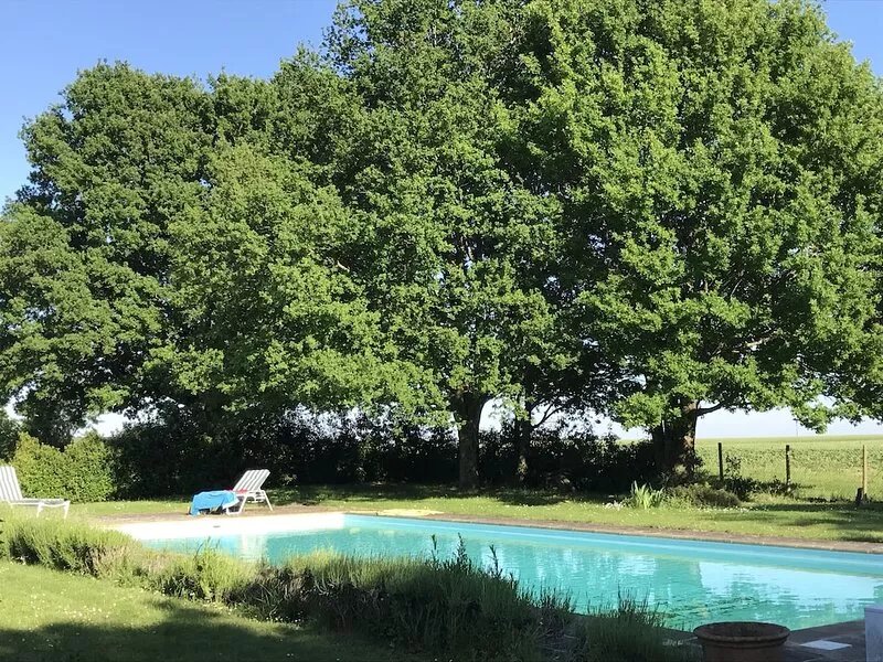 Charming cottage, absolute calm and big swimming-pool close to the Loire castles