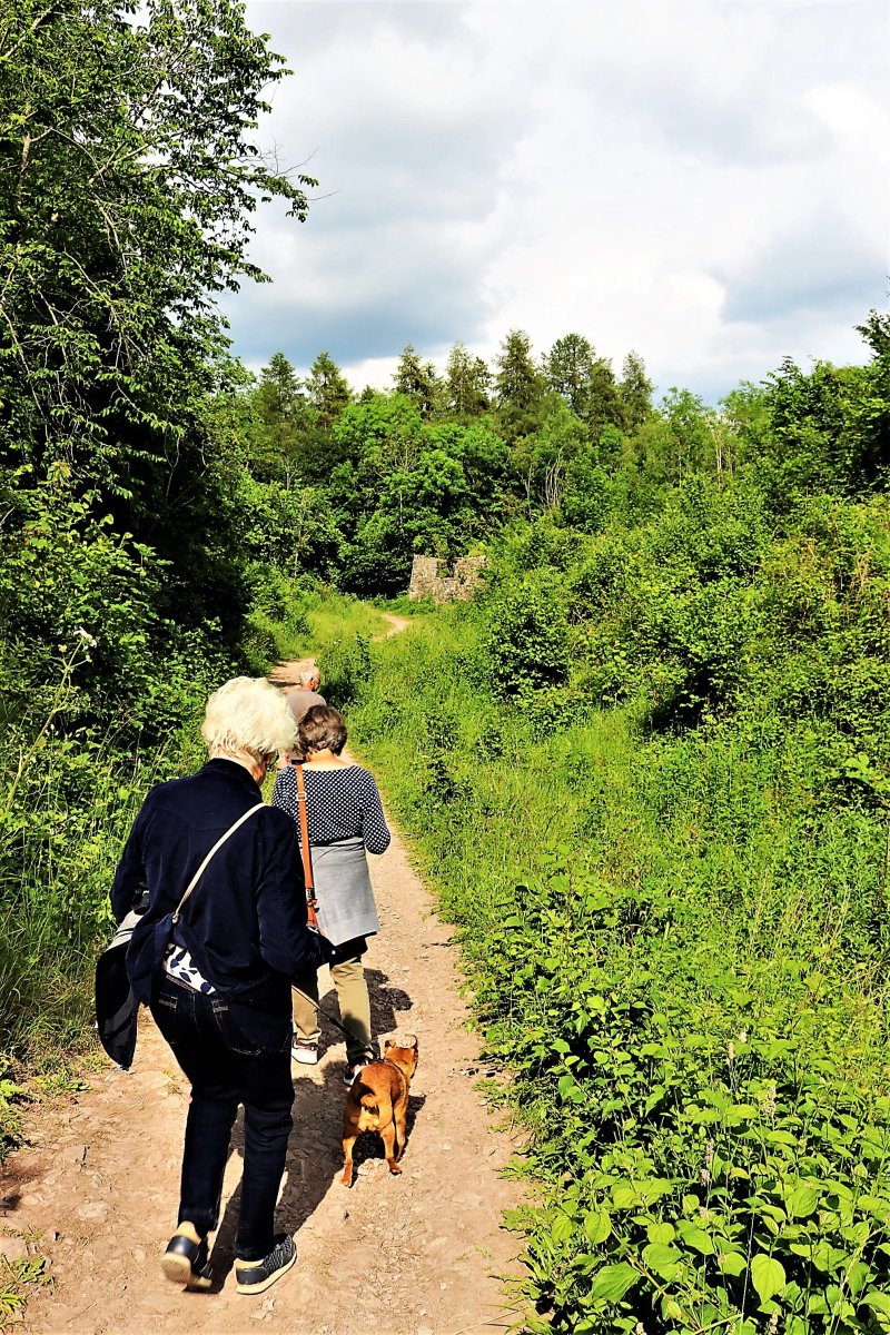 Llanymynech Rocks Nature Reserve