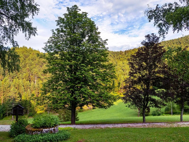 Landsitz Oberhof