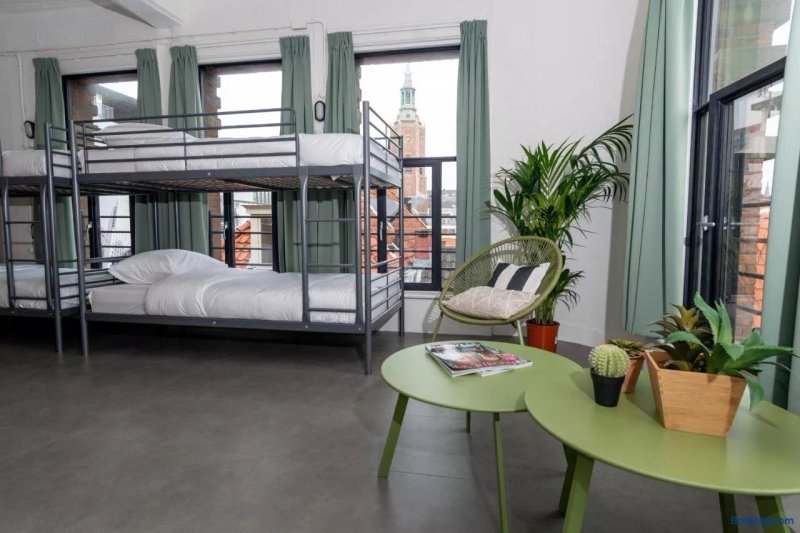 Pink Flamingo Hostel