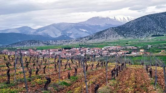 Chateau Nico Lazaridi Winery