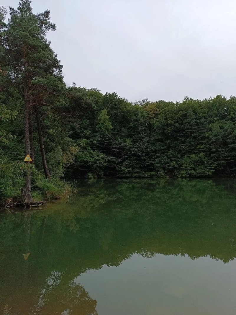 Staw Zielony