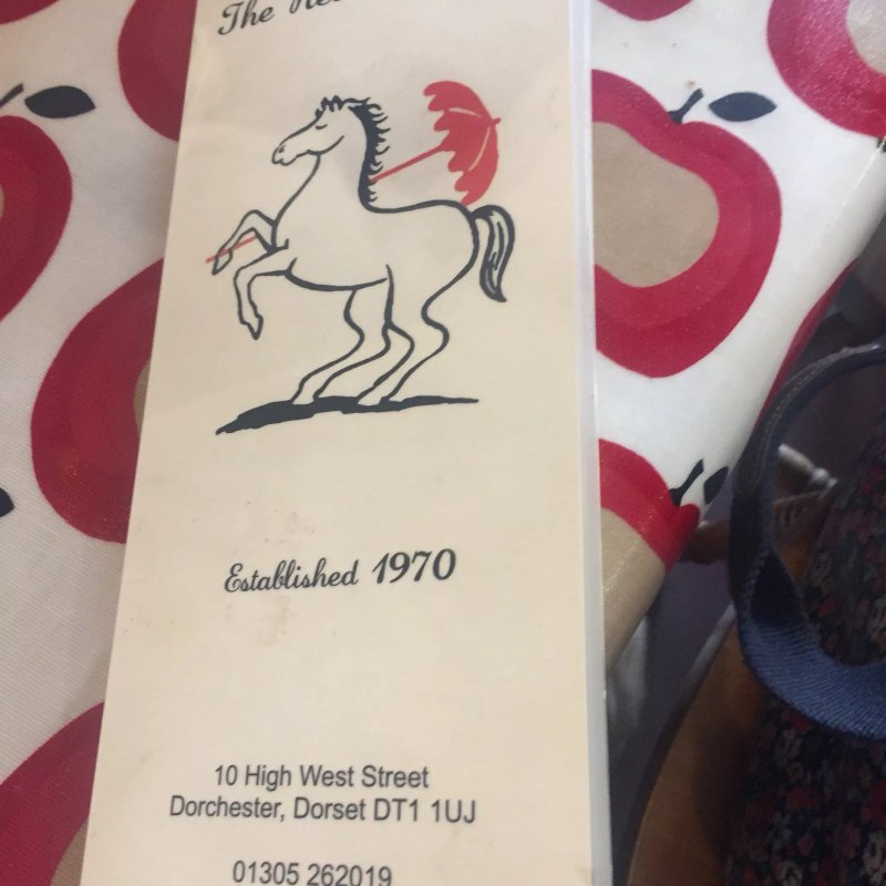 The Horse with the Red Umbrella