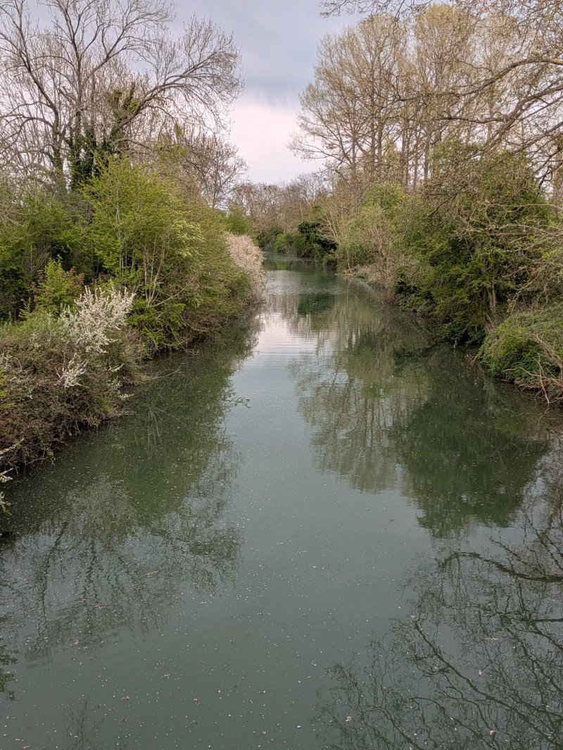 Chimney Meadows National Nature Reserve