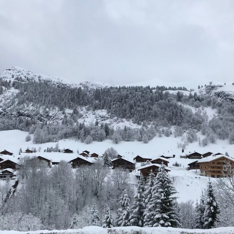 Hotel Les Flocons