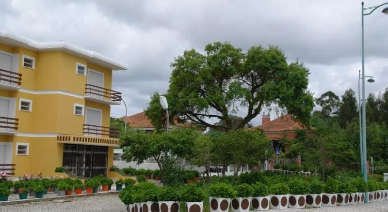 Cozinha Portuguesa Hotel