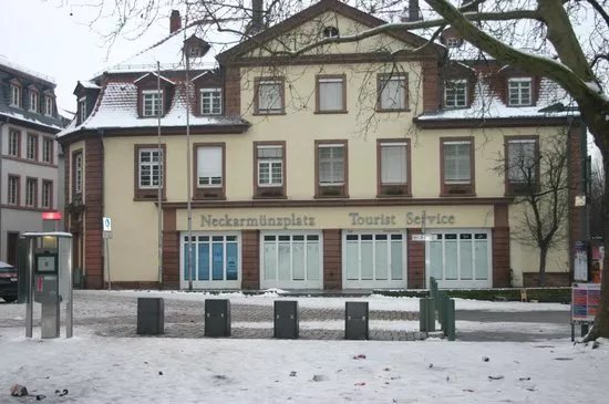 Heidelberg City Bus Tour