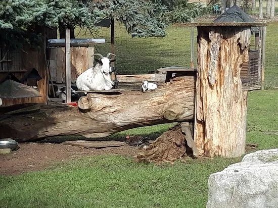 Kur Park