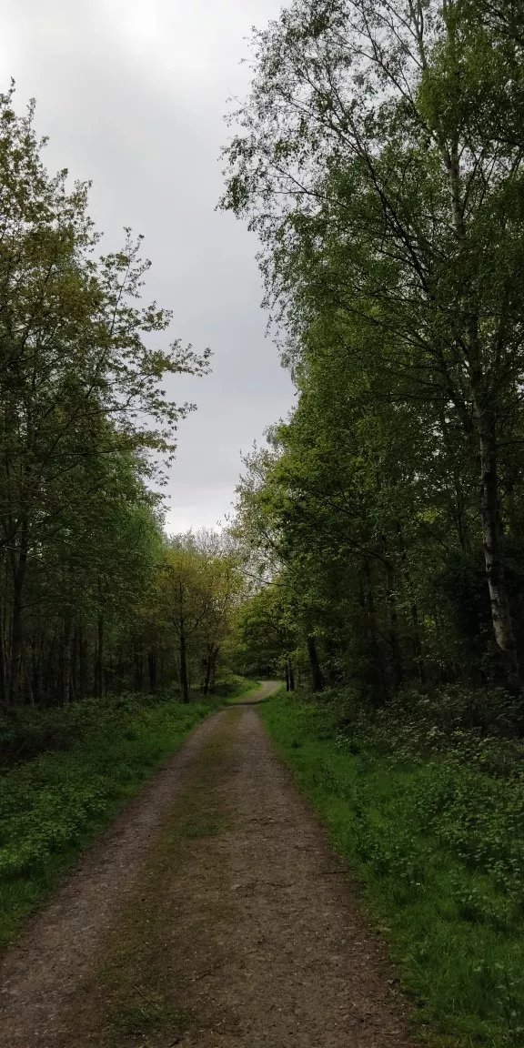 Randalstown Forest Nature Reserve