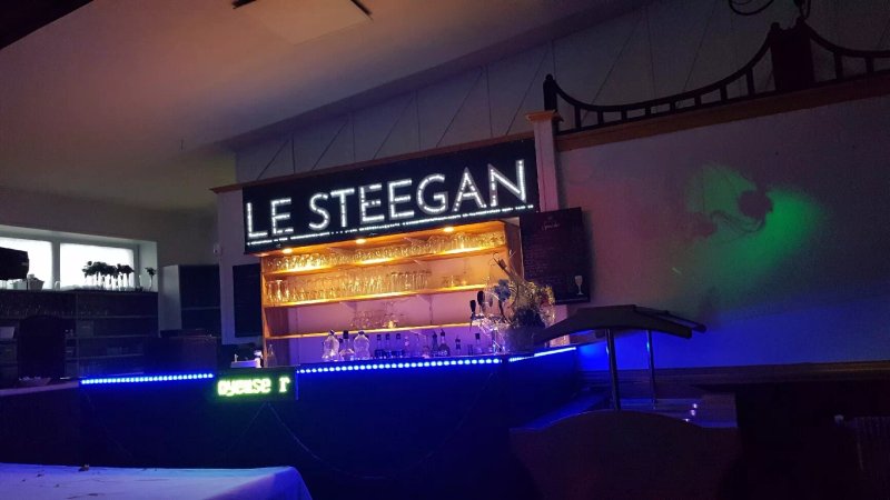 Le Steegan