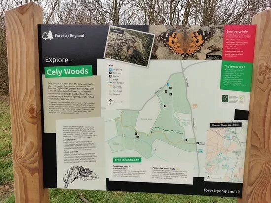 Cely Woods
