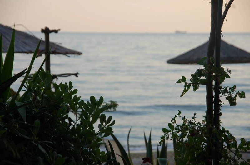 Step to the Sea