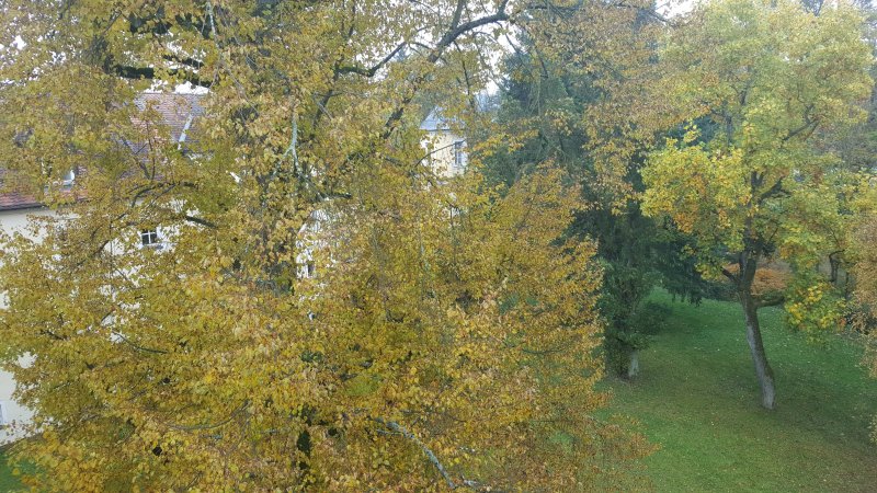 Schlosshotel Ernestgrun