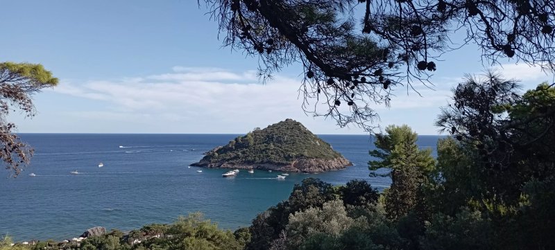 Barretto le Viste