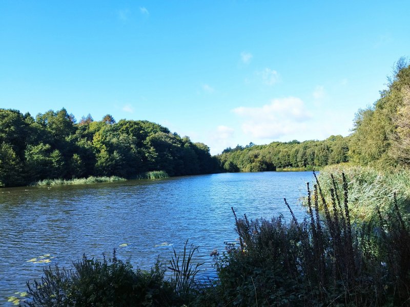 Peaty Cottage - Two Bedroom House, Sleeps 4