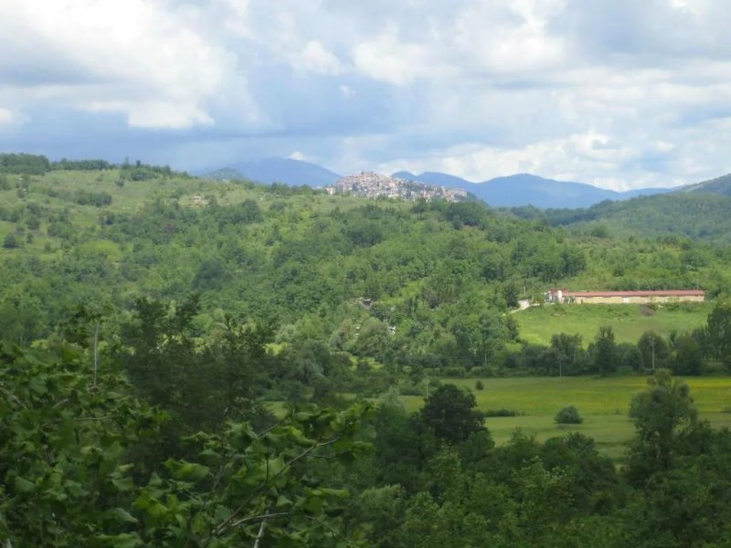 Bed & Breakfast Porta di Corte
