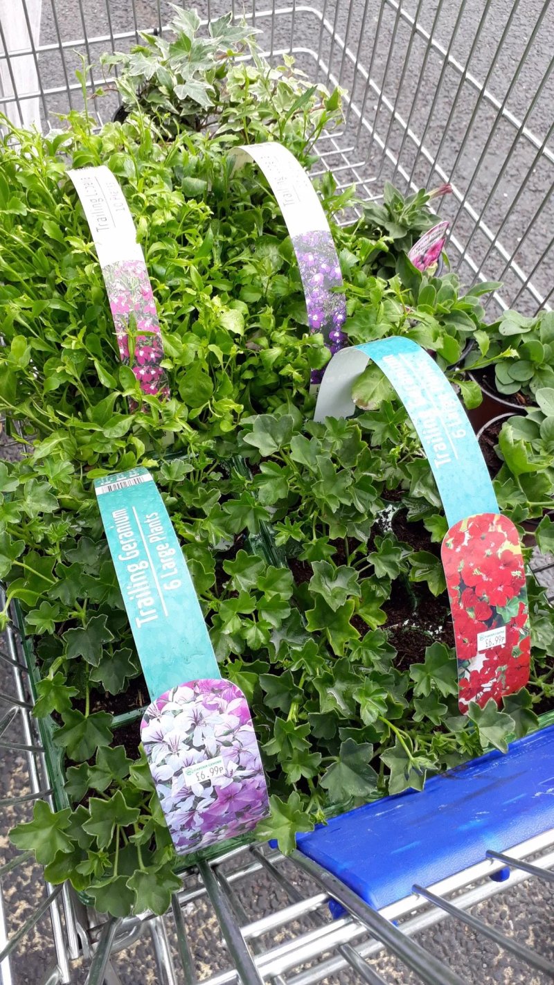 Whitakers Garden Centre