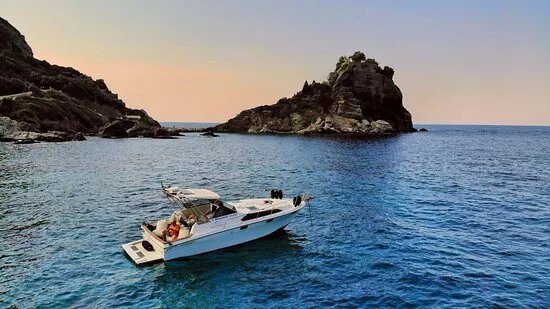 Our Cruises.