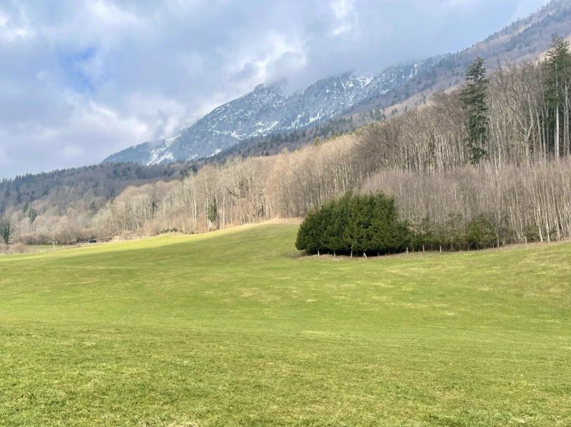 Ferienwohnungen Am Gablerhof