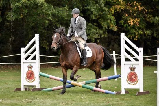 Bagnum Equestrian Centre Ltd