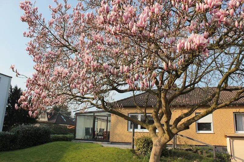 Spacious bungalow with winter garden and a big garden, family-friendly