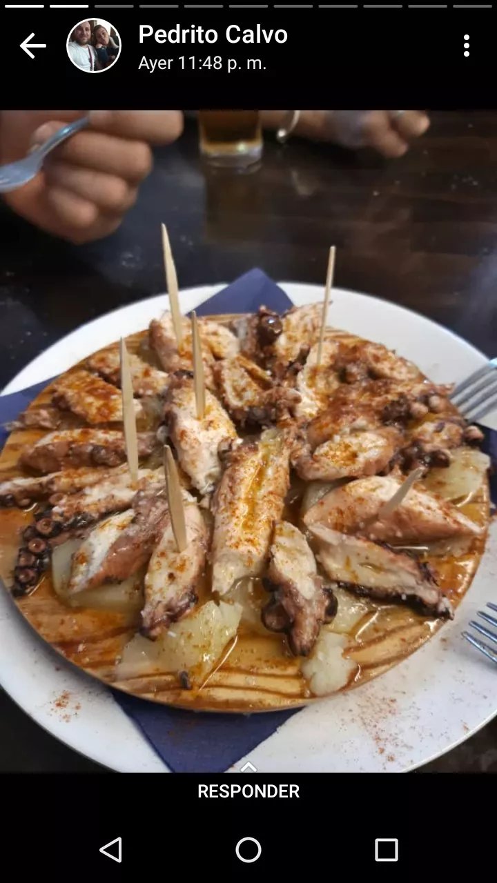 La Casa del Pulpo