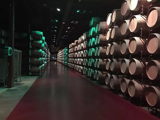 Bodegas Vina Mayor