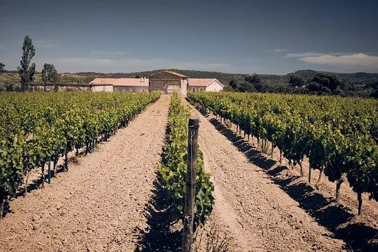 Domaine D'Aussieres