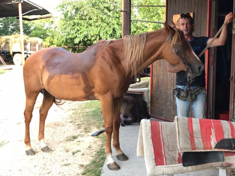 Agriturismo al Ranch