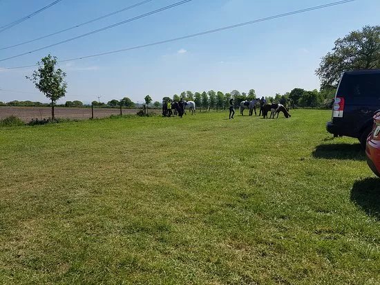 Great Budworth Real Dairy Ice Cream Farm