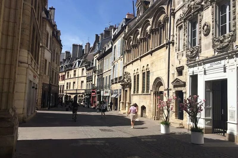 Cottage Good Friends DIJON downtown. 70 m², 6 people Large south terrace