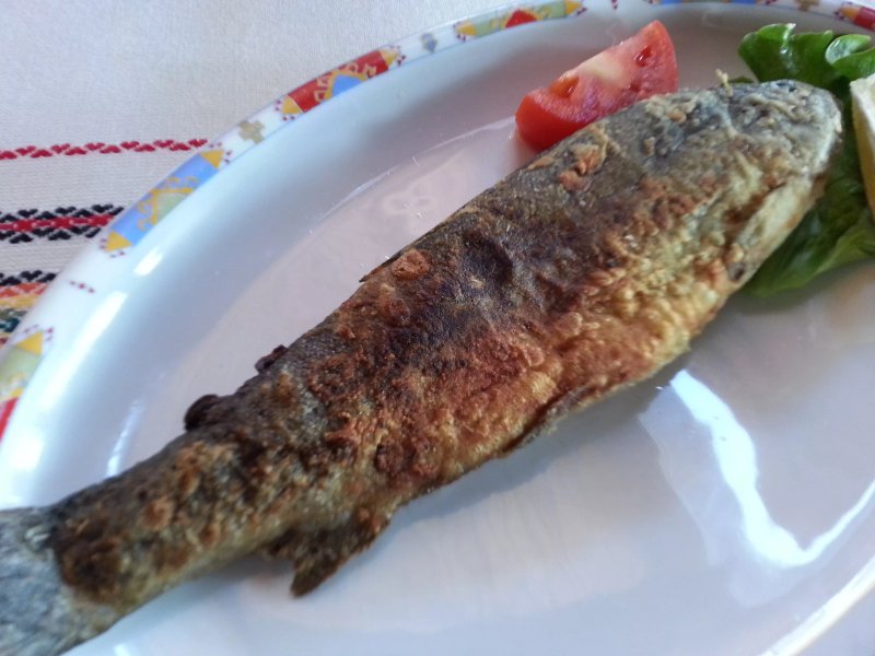 Strannopriemnica "Balkan"
