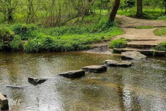 Cuerden Valley Park